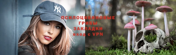 МДПВ Аркадак