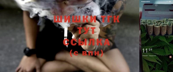 крисы Балахна