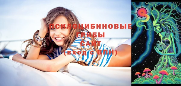 мет Арсеньев