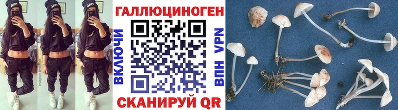 Псилоцибиновые грибы мицелий  Бахчисарай 