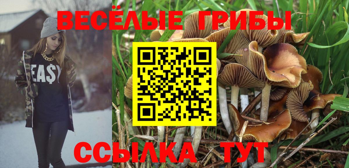 Бахчисарай  Галлюциногенные грибы Cubensis  Псилоцибиновые грибы Magic Shrooms  Вход с VPN 