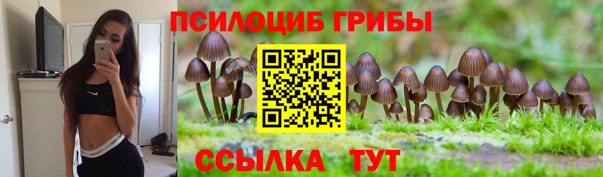 Галлюциногенные грибы Psilocybine cubensis Бахчисарай